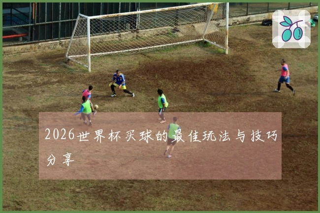 2026世界杯买球的最佳玩法与技巧分享