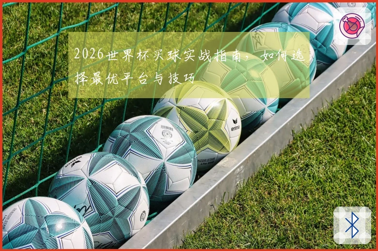 2026世界杯买球实战指南，如何选择最优平台与技巧