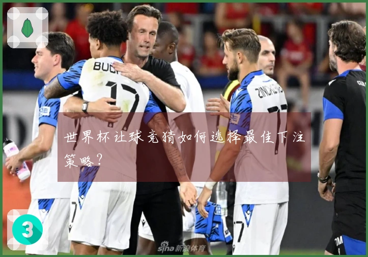 世界杯让球竞猜如何选择最佳下注策略？