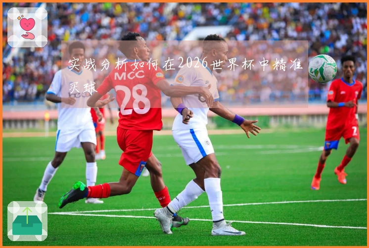 实战分析如何在2026世界杯中精准买球