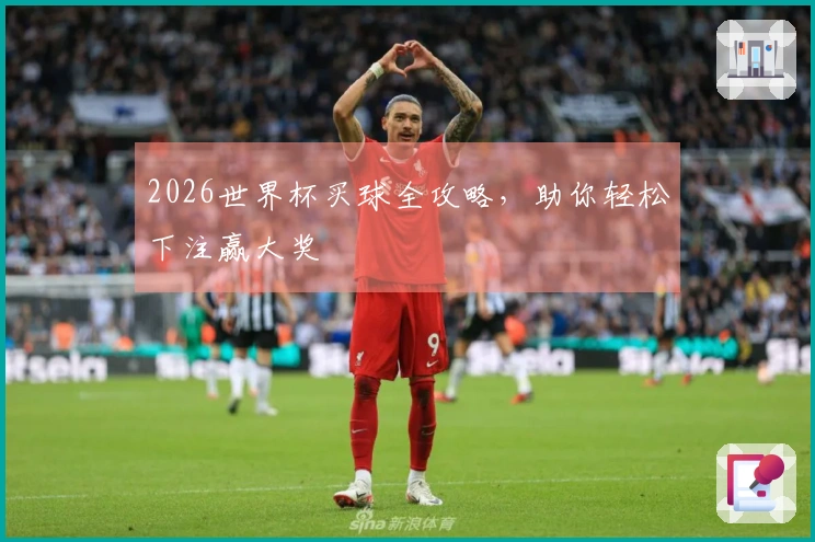 2026世界杯买球全攻略，助你轻松下注赢大奖
