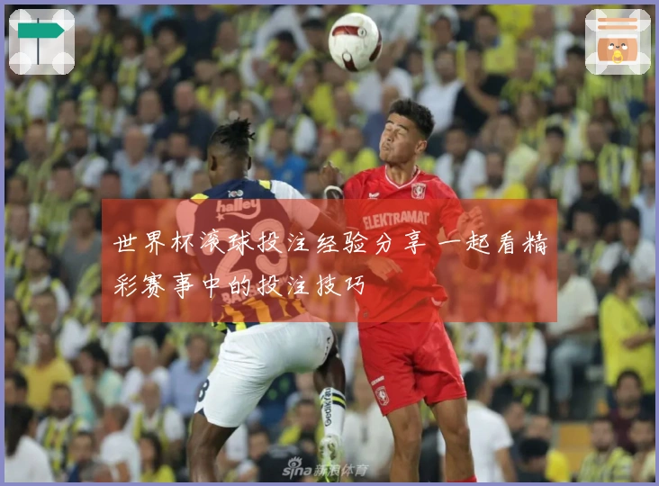 世界杯滚球投注经验分享 一起看精彩赛事中的投注技巧