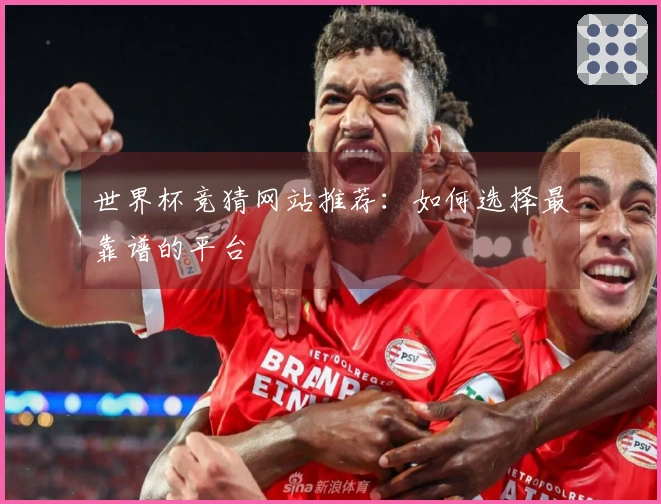 世界杯竞猜网站推荐：如何选择最靠谱的平台