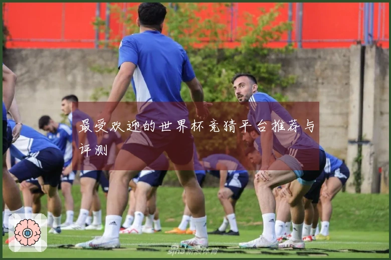 最受欢迎的世界杯竞猜平台推荐与评测