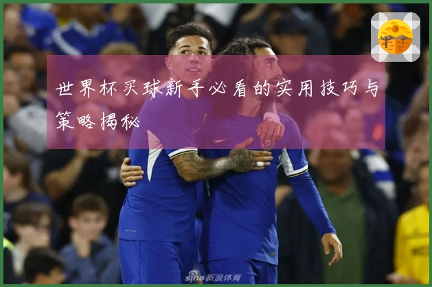世界杯买球新手必看的实用技巧与策略揭秘