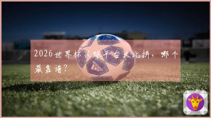 2026世界杯买球平台大比拼，哪个最靠谱？