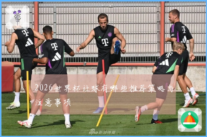 2026世界杯让球有哪些推荐策略与注意事项