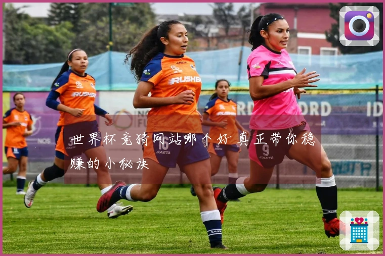 世界杯竞猜网站哪个好 真正带你稳赚的小秘诀
