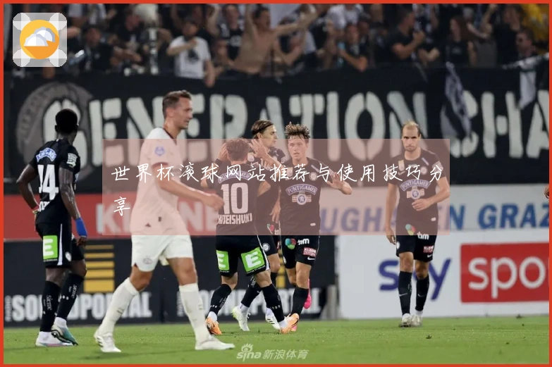 世界杯滚球网站推荐与使用技巧分享
