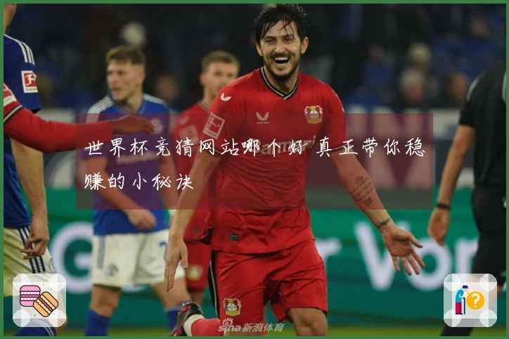 世界杯竞猜网站哪个好 真正带你稳赚的小秘诀