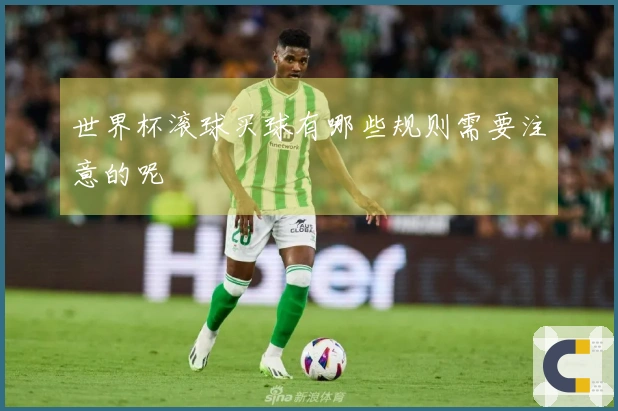 世界杯滚球买球有哪些规则需要注意的呢