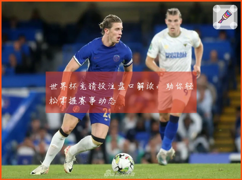 世界杯竞猜投注盘口解读，助你轻松掌握赛事动态