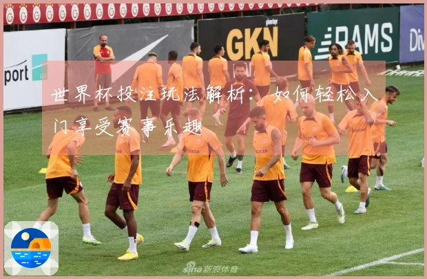 世界杯投注玩法解析：如何轻松入门享受赛事乐趣